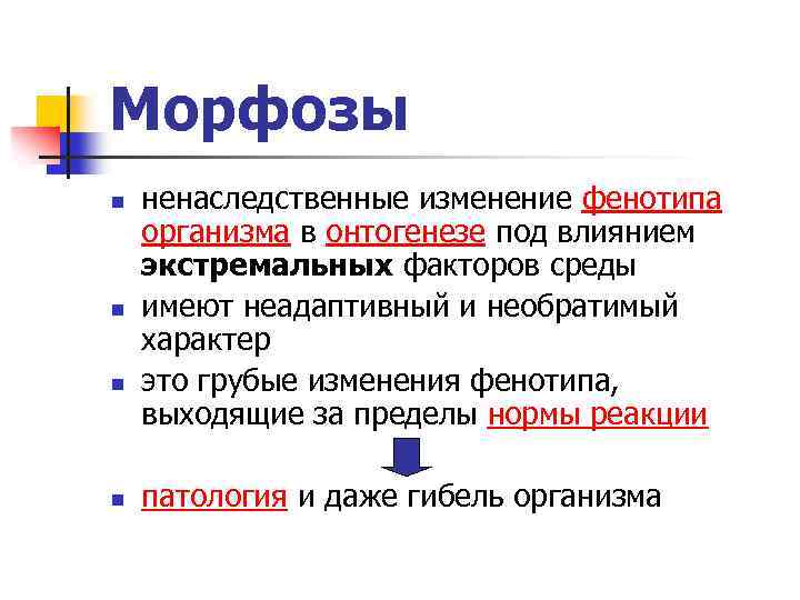 Морфозы n n ненаследственные изменение фенотипа организма в онтогенезе под влиянием экстремальных факторов среды