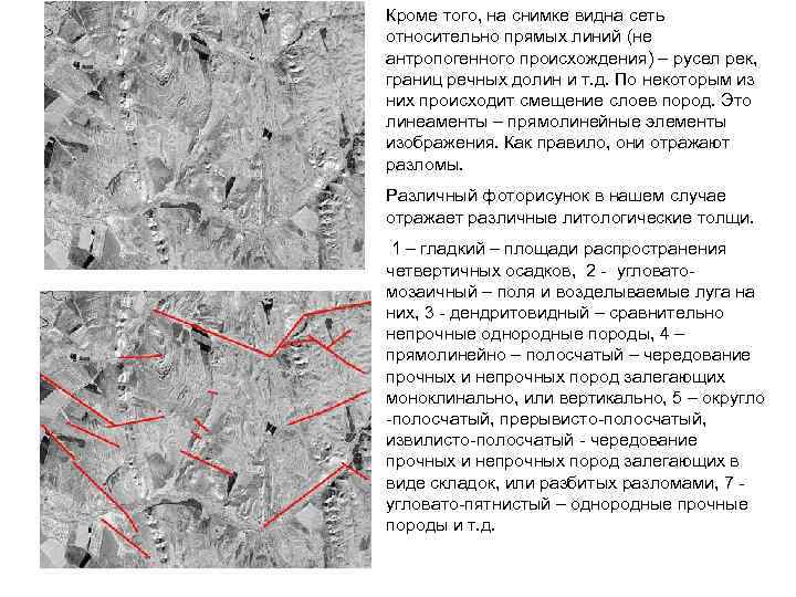Кроме того, на снимке видна сеть относительно прямых линий (не антропогенного происхождения) – русел