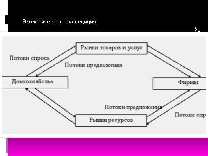 Экологическая экспедиция 