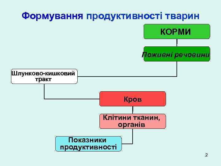 Формування продуктивності тварин КОРМИ Поживні речовини Шлунково-кишковий тракт Кров Клітини тканин, органів Показники продуктивності