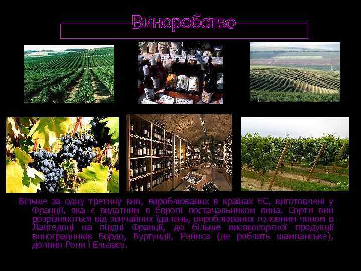 Більше за одну третину вин, вироблюваних в країнах ЄС, виготовлені у Франції, яка є