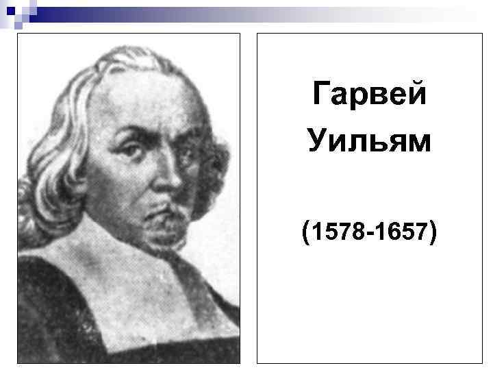 Гарвей Уильям (1578 -1657) 