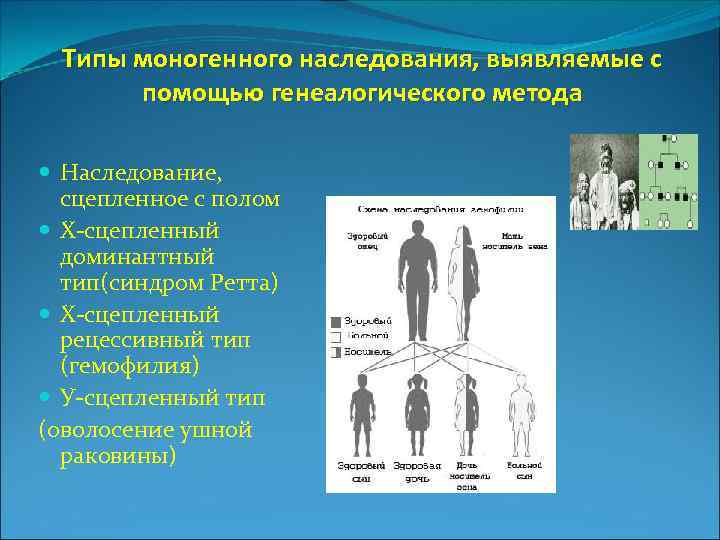 Типы моногенного наследования, выявляемые с помощью генеалогического метода Наследование, сцепленное с полом Х-сцепленный доминантный
