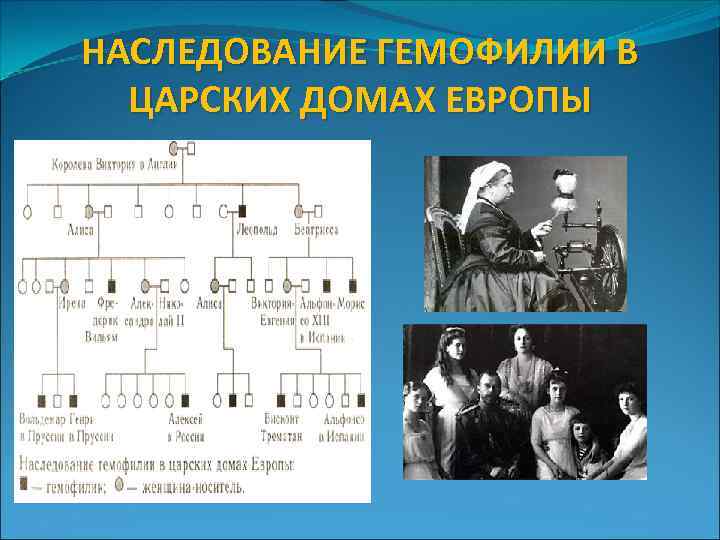 НАСЛЕДОВАНИЕ ГЕМОФИЛИИ В ЦАРСКИХ ДОМАХ ЕВРОПЫ 