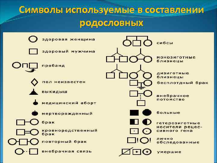 Символы используемые в составлении родословных 
