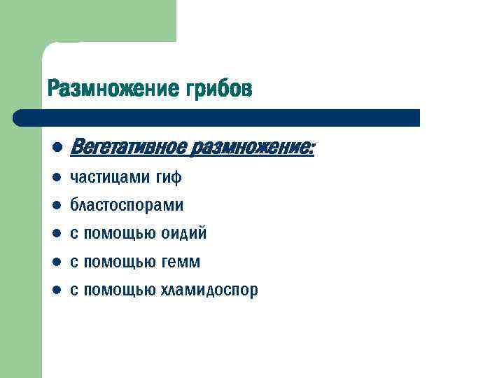 Размножение грибов l Вегетативное размножение: l частицами гиф бластоспорами с помощью оидий с помощью