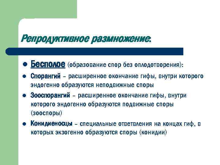 Репродуктивное размножение: l Бесполое (образование спор без оплодотворения): l Спорангий – расширенное окончание гифы,