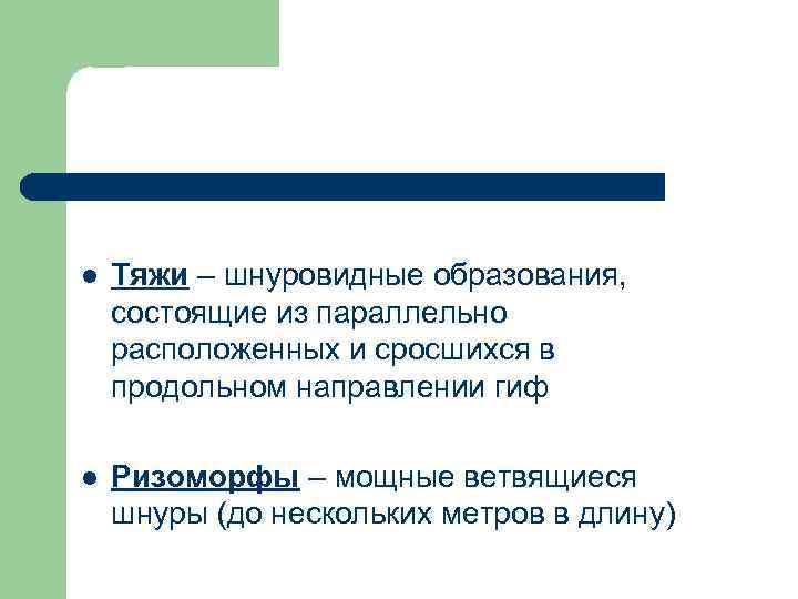 l Тяжи – шнуровидные образования, состоящие из параллельно расположенных и сросшихся в продольном направлении