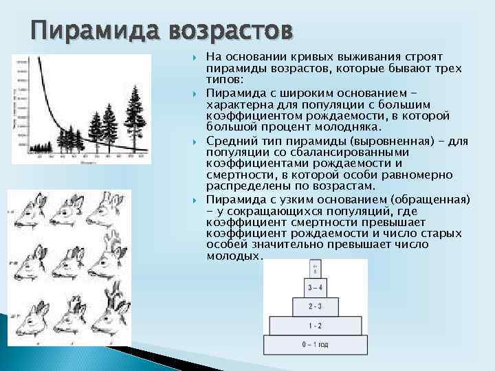 Сравните данные двух диаграмм какие изменения произошли в возрастном составе популяций дуба