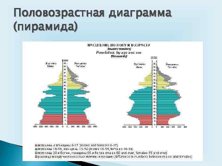 Половозрастная диаграмма (пирамида) 