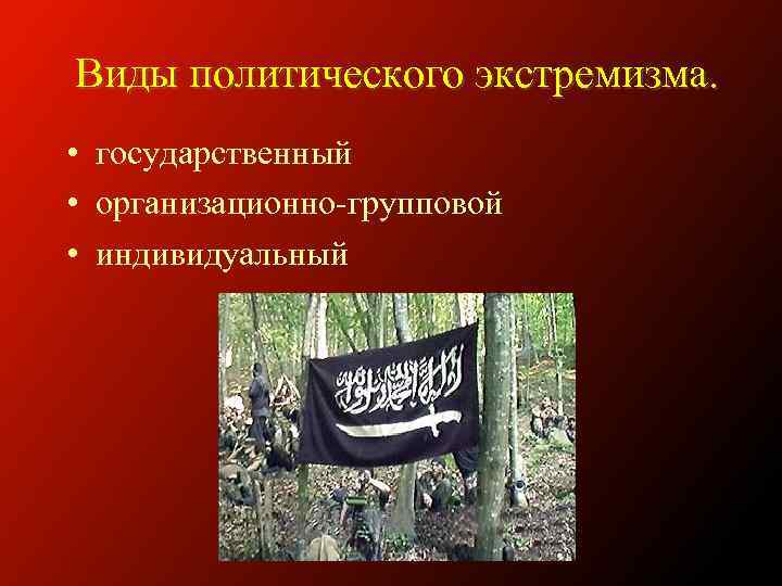 Виды политического экстремизма. • государственный • организационно-групповой • индивидуальный 