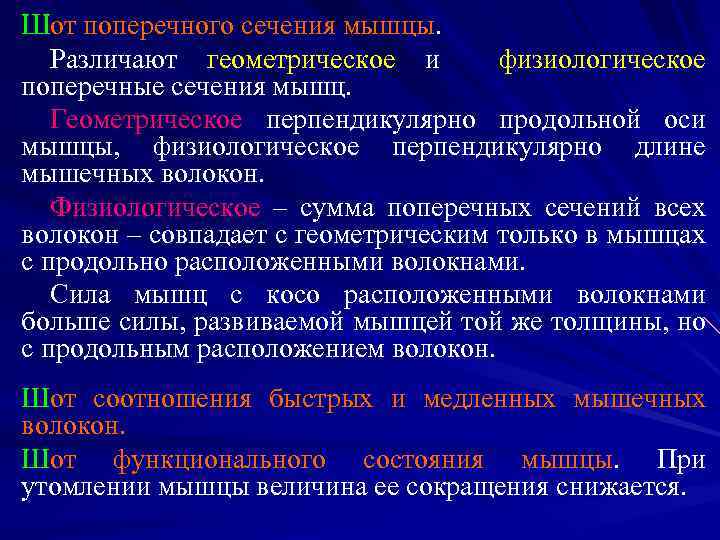 Шот поперечного сечения мышцы. Различают геометрическое и физиологическое поперечные сечения мышц. Геометрическое перпендикулярно продольной