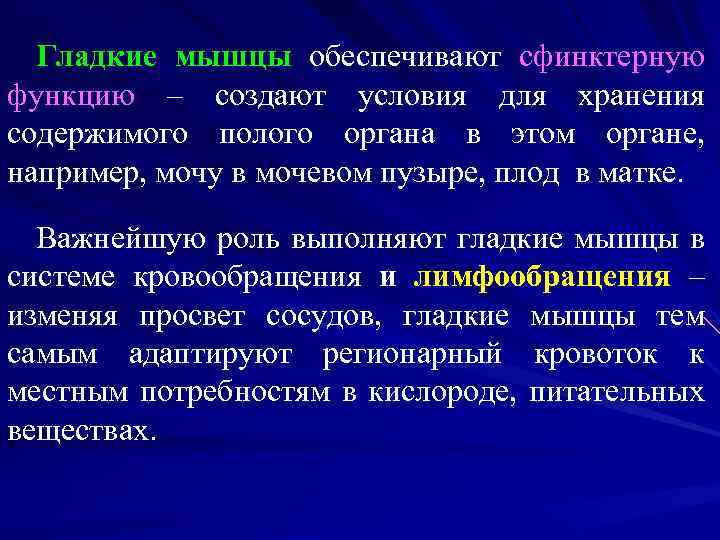 Гладкие мышцы обеспечивают сфинктерную функцию – создают условия для хранения содержимого полого органа в