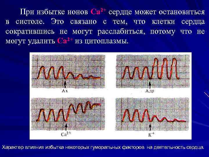 При избытке ионов Са 2+ сердце может остановиться в систоле. Это связано с тем,