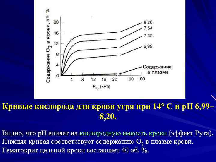 Кривые кислорода для крови угря при 14° С и р. Н 6, 99– 8,