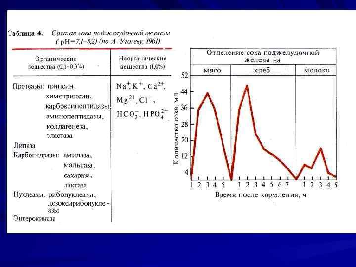 4 нарисуйте кривые желудочной секреции при употреблении основных продуктов мяса хлеба и молока
