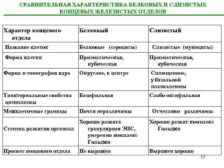 СРАВНИТЕЛЬНАЯ ХАРАКТЕРИСТИКА БЕЛКОВЫХ И СЛИЗИСТЫХ КОНЦЕВЫХ ЖЕЛЕЗИСТЫХ ОТДЕЛОВ Характер концевого отдела Белковый Слизистый Название