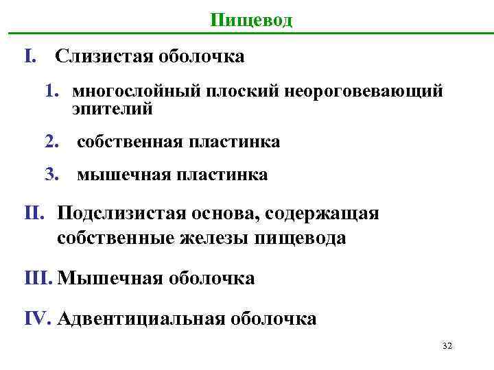 Пищевод I. Слизистая оболочка 1. многослойный плоский неороговевающий эпителий 2. собственная пластинка 3. мышечная