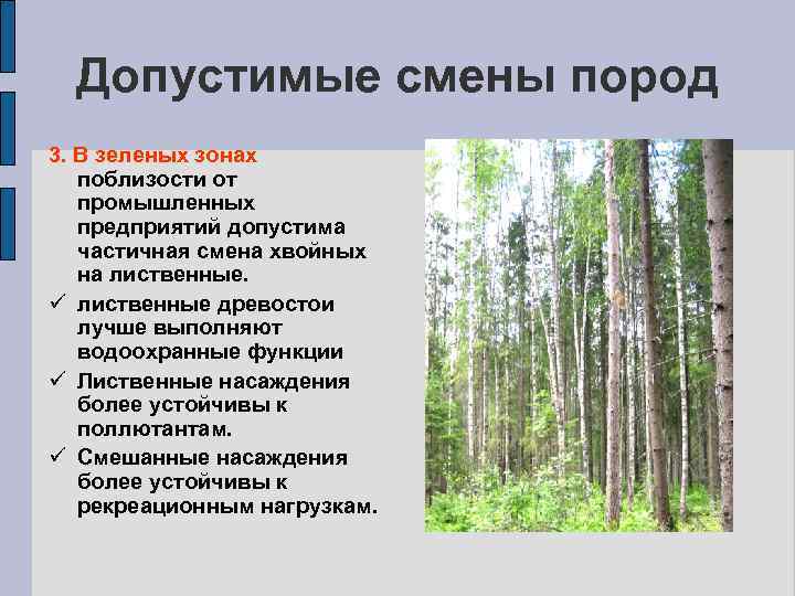 Основные лесные породы. Смена древесных пород. Смена пород. Смены пород леса. Смена пород виды.