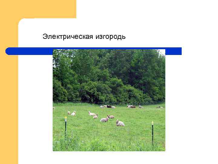 Электрическая изгородь 
