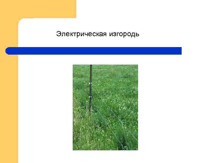 Электрическая изгородь 