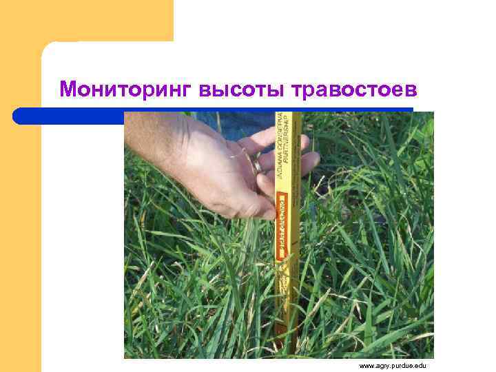 Мониторинг высоты травостоев www. agry. purdue. edu 