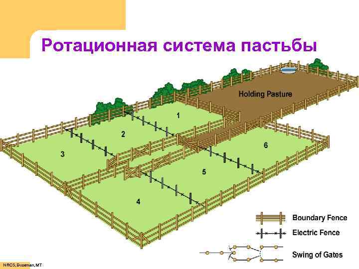 Ротационная система пастьбы NRCS, Bozeman, MT 