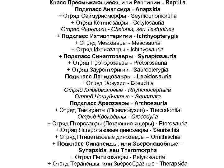 Класс Пресмыкающиеся, или Рептилии - Reptilia Подкласс Анапсида - Anapsida + Отряд Сеймуриоморфы Seymouriomorpha