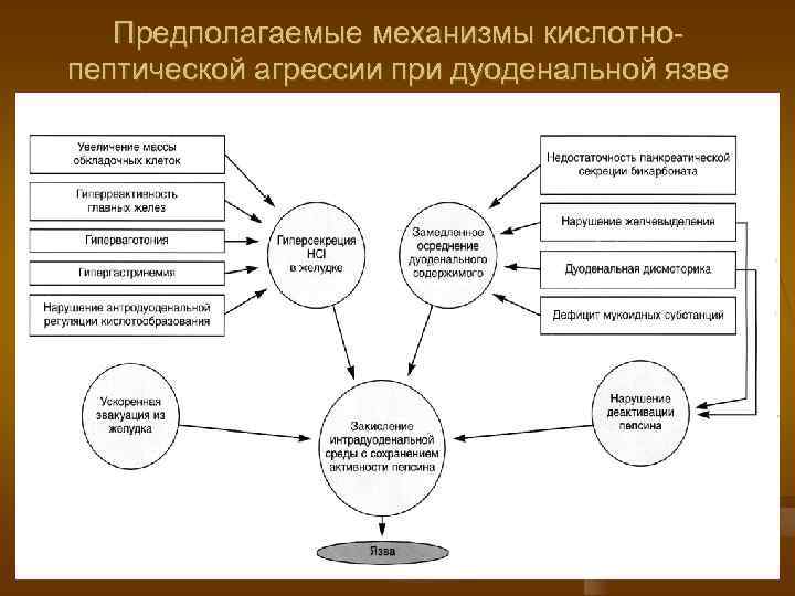 Предполагаемые механизмы кислотнопептической агрессии при дуоденальной язве 