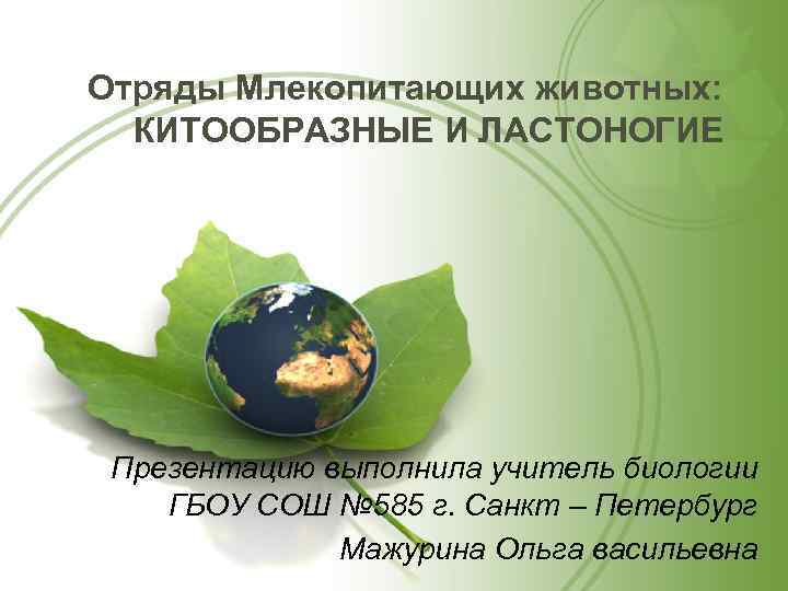 Отряды Млекопитающих животных: КИТООБРАЗНЫЕ И ЛАСТОНОГИЕ Презентацию выполнила учитель биологии ГБОУ СОШ № 585