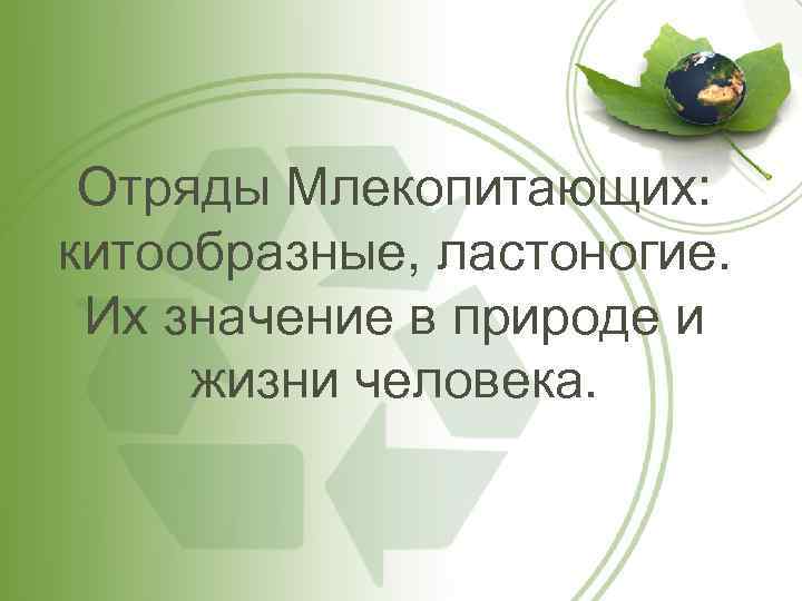 Отряды Млекопитающих: китообразные, ластоногие. Их значение в природе и жизни человека. 