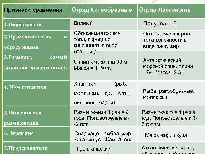 Характеристика семейств отряда хищные таблица. Характеристика отрядов млекопитающих. Таблица по биологии общая характеристика млекопитающих. Характеристика отрядов класса млекопитающих. Отряды млекопитающих таблица.