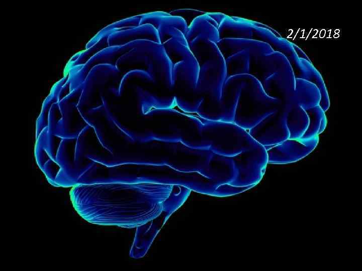 2/1/2018 