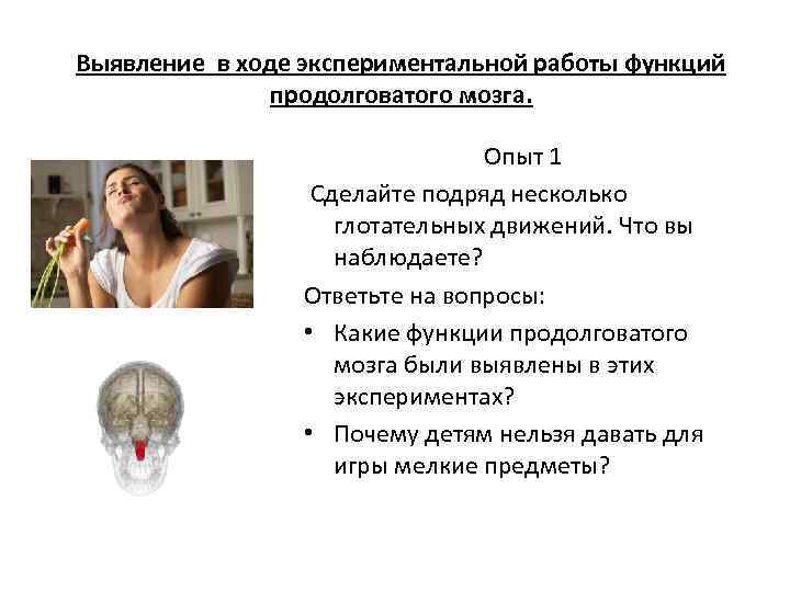 Выявление в ходе экспериментальной работы функций продолговатого мозга. Опыт 1 Сделайте подряд несколько глотательных