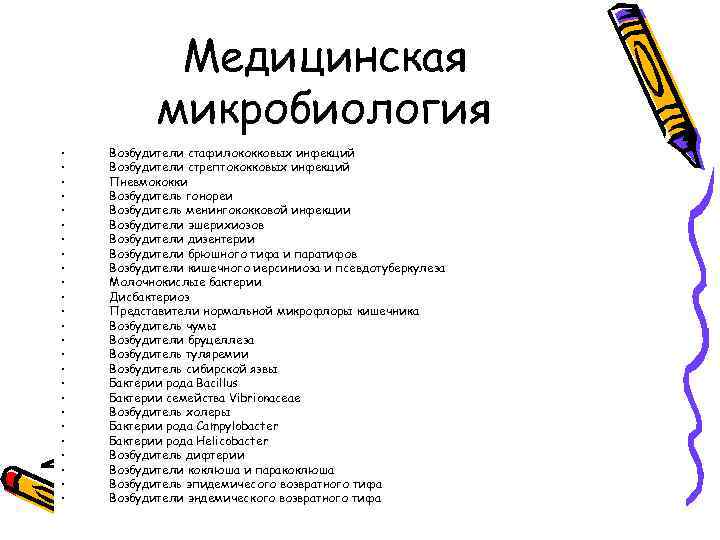 Медицинская микробиология • • • • • • • Возбудители стафилококковых инфекций Возбудители стрептококковых