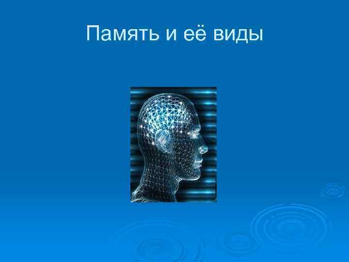 Память и её виды 