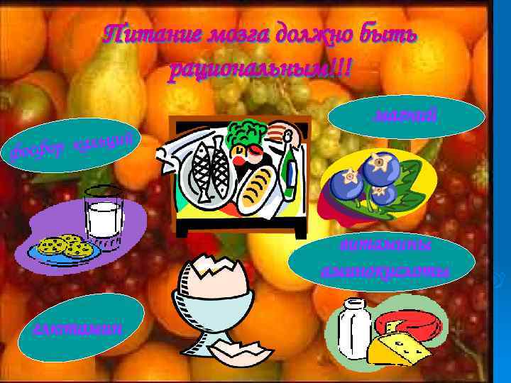 Питание мозга должно быть рациональным!!! р кальций фосфо магний витамины аминокислоты глютамин 