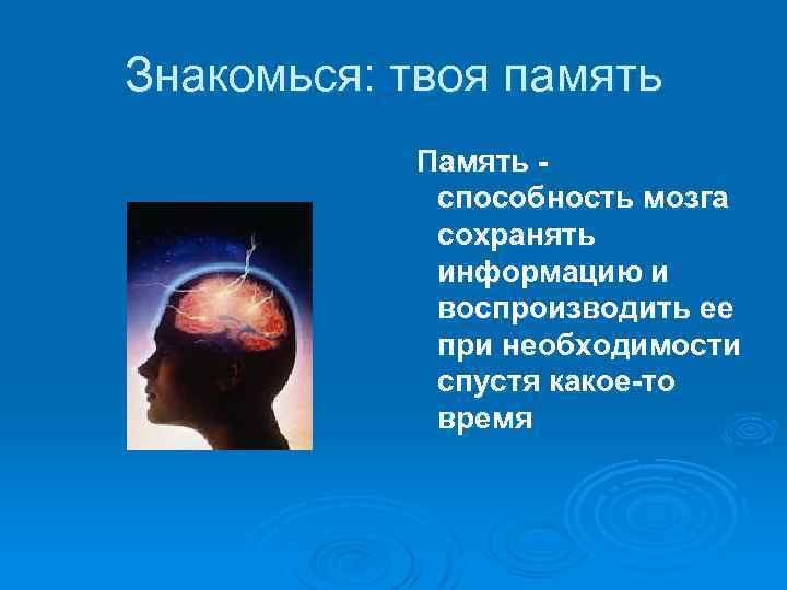 Знакомься: твоя память Память - способность мозга сохранять информацию и воспроизводить ее при необходимости