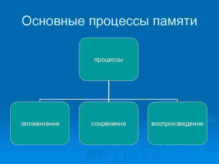 Основные процессы памяти процессы запоминание сохранение воспроизведение 