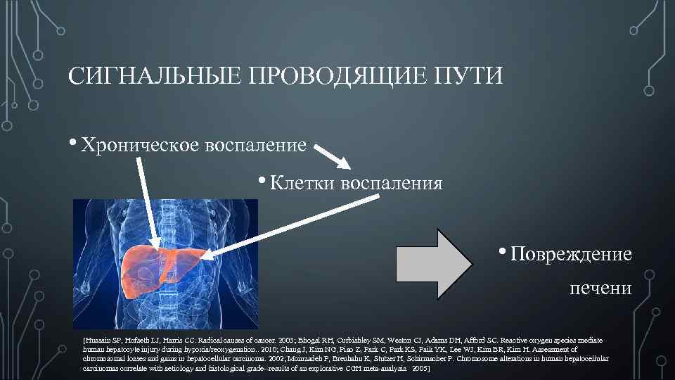 СИГНАЛЬНЫЕ ПРОВОДЯЩИЕ ПУТИ • Хроническое воспаление • Клетки воспаления • Повреждение печени [Hussain SP,