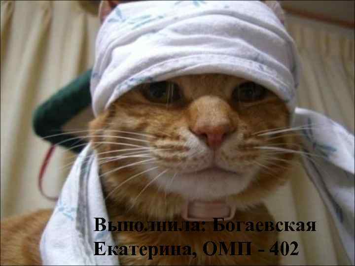 Выполнила: Богаевская Екатерина, ОМП - 402 