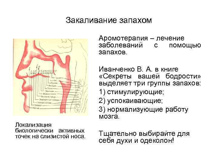 Закаливание запахом Аромотерапия – лечение заболеваний с помощью запахов. Иванченко В. А. в книге