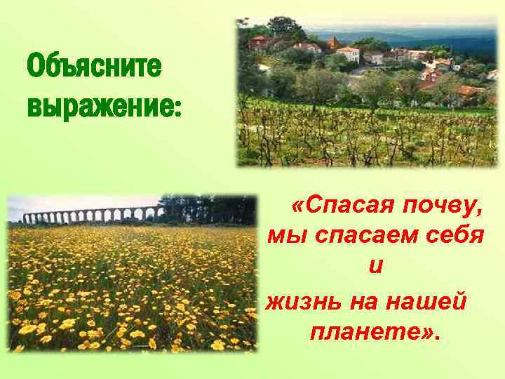 Объясните выражение: «Спасая почву, мы спасаем себя и жизнь на нашей планете» . 