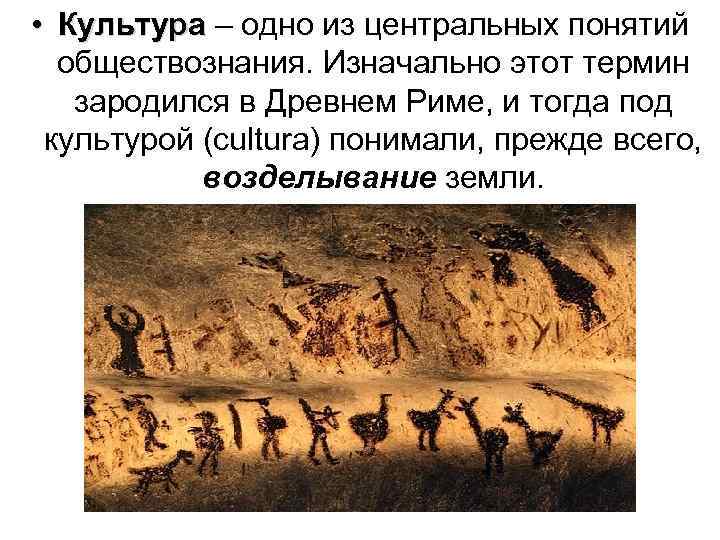  • Культура – одно из центральных понятий обществознания. Изначально этот термин зародился в