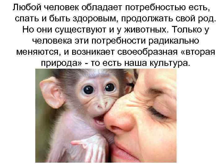 Любой человек обладает потребностью есть, спать и быть здоровым, продолжать свой род. Но они