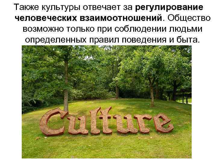 Также культуры отвечает за регулирование человеческих взаимоотношений. Общество взаимоотношений возможно только при соблюдении людьми
