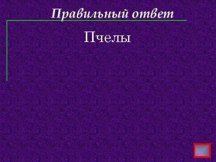 Правильный ответ Пчелы 