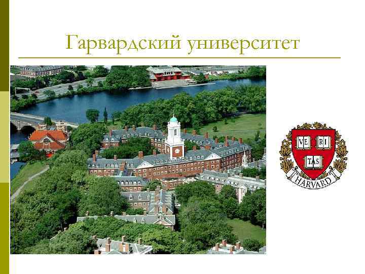 Гарвардский университет 