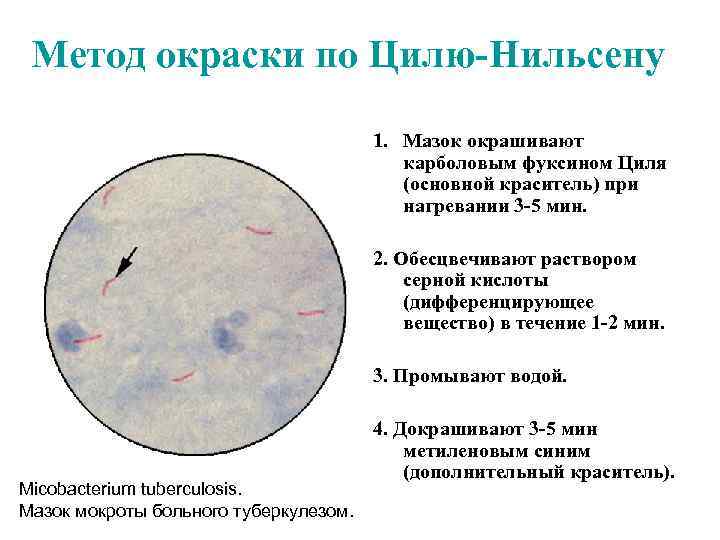 Методы окраски автомобилей