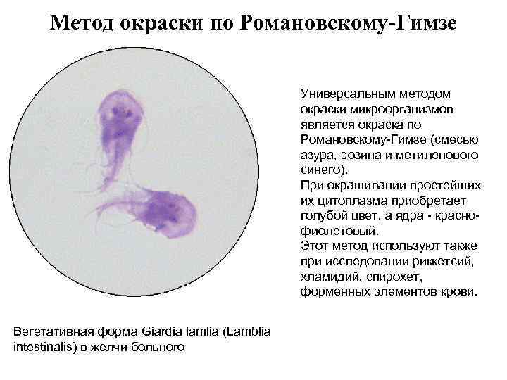 Окраска по трухио картинки